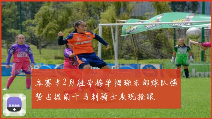 本赛季2月胜率榜单揭晓东部球队强势占据前十马刺骑士表现抢眼