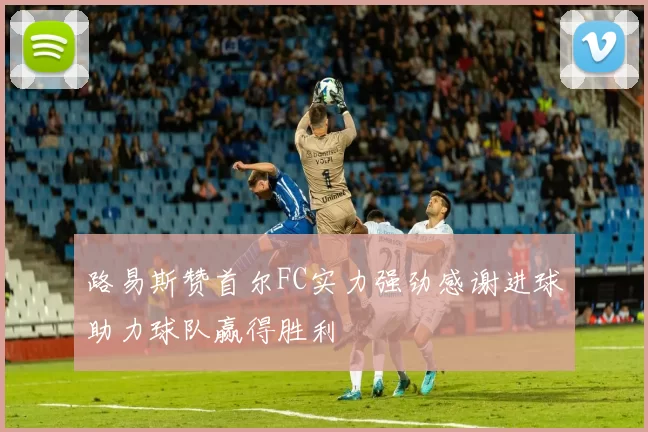 路易斯赞首尔FC实力强劲感谢进球助力球队赢得胜利