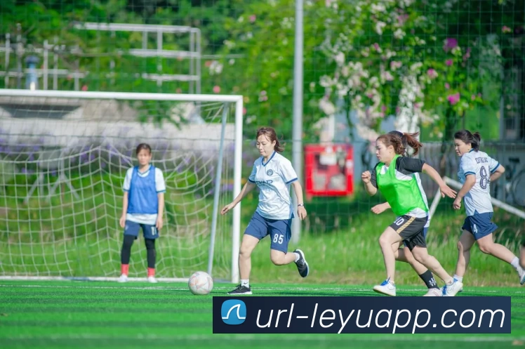 乐鱼体育平台生态图