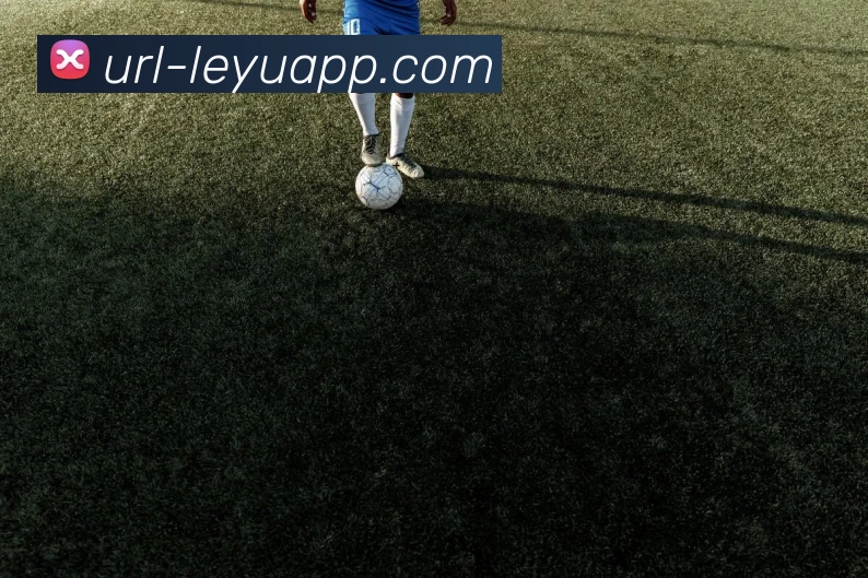 乐鱼体育全站App